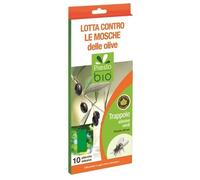 UEBER Trappola Adesiva per Le Mosche delle Olive-Orto Giardino insetticidi bio, Multicolore, Unica, 10 unità