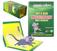 Trappola appiccicosa per ratti e topi - piastra 31x21cm