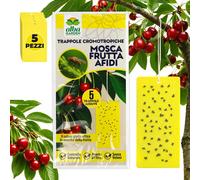 Trappola Cromotropica Gialla Per Mosca della Frutta Adesiva A Doppia Forza