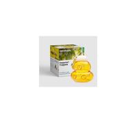TRAPPOLA ECOLOGIA PER VESPE CALABRONI MOSCHE DELLA FRUTTA NEWPHARM