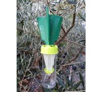 Trappola Feromone Diablex Cimici Ueber