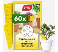 Trappola Moscerini - 60X Trappola per Moscerini in Casa, Acchiappa Cimici Effica