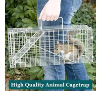 Trappola per animali Gabbia per topi Trappola per topi Rete di ferro sicura e solida, Mouse raccoglitore domestico, per trappola per ratti umani, Catturino pieghevole per gatti e Resc per animali Grig