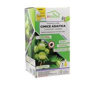 Trappola per Cimice Asiatica a Feromoni BIO Cattura Cimice Halyomorpha halys