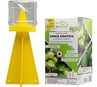 TRAPPOLA PER CIMICE ASIATICA CYMATRAP GARDEN INVERDE