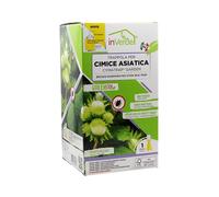 Trappola per Cimice Asiatica CYMATRAP GARDEN InVerde