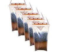 Trappola per mosche originale Red Top