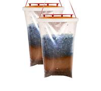 Trappola per Mosche Vespe da Esterno Red Top con Esca Attrattiva Riutilizzabile
