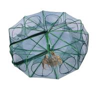 Trappola per pesce, gabbia di granchio pieghevole, rete a prova di fuga, telaio pieghevole, maglia fine, configurazione facile, trasporto leggero, design riutilizzabile, tasso di cattura elevato