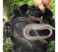 Trappola Per Pesci Con Buchi, Gabbia Di Cattura Di Granchio Portatile, Rete Da Pesca Trappola, Trappole Per Vaso Di Granchio, Rete Da Pesca Portatile Per Catturare Gli Aragosta Gamberetti