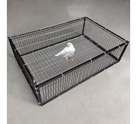 Trappola per piccioni a prova di fuga con ingresso unidirezionale, gabbia automatica per la raccolta degli uccelli, saldatura in metallo, montaggio facile e portatile per un efficace controllo degli