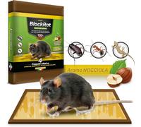 Trappola per Topi Grandi E Ratti, 4 Tavolette Di Colla Topicida Professionale Ul