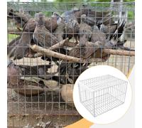 Trappola per uccelli automatica Gabbia in ferro Raccoglitore automatico di