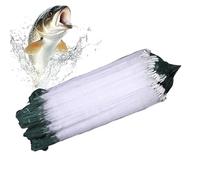 Trappola PerReti DaPesca - Rete TrappolaPesca, Nassa Inganno Portatile, AccessoriDa PescaPortatile RetiTrappole Per AcquaDolce E Salata Principianti Adulti Amici Famiglia