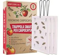 Trappola Pestmatic per Carpocapsa x3, trappola a feromoni per il monitoraggio su alberi da frutto, controllo del giardino, sicura per uccelli e impollinatori, protezione naturale per mele
