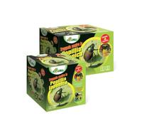 TRAPPOLA POPILLIA JAPONICA