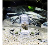 Trappola trasparente in plastica Acquario senza esche Catturatore di planarie e sanguisughe Controllo per piante -free Control