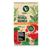 Trappole adesive mosca bianca