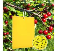 TRAPPOLE MOSCHE OLIVO CILIEGIO 50 PEZZI ACCHIAPPA INSETTI FRUTTI AGRICOLTURA PRO