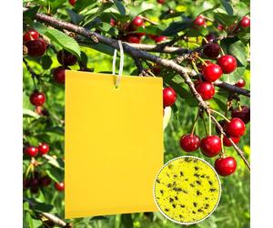 TRAPPOLE MOSCHE OLIVO CILIEGIO 50 PEZZI ACCHIAPPA INSETTI FRUTTI AGRICOLTURA PRO