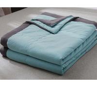 Trapunta Estivo 150x200 200x200cm Piumone Cotone Copriletto Matrimoniale/Singolo Una Piazza E Mezza Leggera Consolatore 4 Stagioni Condizionamento D'Aria Trapuntato Morbido Coperta(A,200x220cm/78x86in