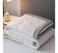 Trapunta Estivo Trapuntato Leggeroe Coperta Estiva Matrimoniale/Singolo Microfibra Piumone Una Piazza e Mezza Copripiumino Morbido Divano Letto Piumino per Tutte Le Stagioni(#4,150x200cm/59x78in)