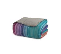 Trapunta Invernale 1 Piazza e Mezzo 180gr con Stampa in Microfibra Rainbow
