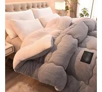 Trapunta Invernale Matrimoniale Piumino in Tessuto Caldo Piumone in Pile Sherpa Piumoni Matrimoniali Invernali Trapuntino Coperta Termica Addensare Inverno(#4,180x220cm/4kg)