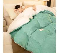 Trapunta Invernale Piumino Morbida e Calda Piumone Matrimoniale Invernale Trapuntino Morbida Coperta Ponderata Fluffy Inverno Piumoni Matrimoniali Invernali (#1,180x220cm/4kg)