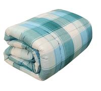 Trapunta invernale Piumone singolo 1 piazza Acca24 Platinum Charles