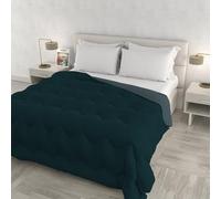 Trapunta invernale ZOE Made in Italy bicolore doubleface, piumone imbottito 250 gr - Trapunta letto Matrimoniale 250x250 cm - Lavabile in Lavatrice - OTTANIO/SALVIA