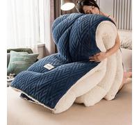 Trapunta King Size Sherpa Full Size - Caldo Nucleo del Piumino in Lana d'Agnello Addensata - Coperta Invernale Bi-Faccia Soffice in Pile di Agnello Coperta, G, 220 * 240cm/5.0kg