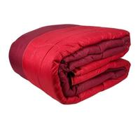 Trapunta piumone Boa Laura Blasi bicolor invernale Dimensioni varie AA238