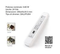 Trasformatore LED 12V 24V Dimmerabile DALI PUSH 15W 40W 60W 100W 150W 250W