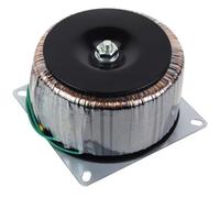 Trasformatore toroidale per bestiame 800 W doppio 32 V 30 V 28 V 24 V amplificatore di potenza per palcoscenico anteriore e posteriore, 1 pezzi (Dual 39 V Dual 12 V)