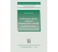 Trasformazione digitale e sistemi di programmazione e controllo