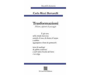Trasformazioni. Milano, appunti di passaggio