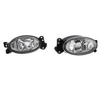 TRASH BIN Faretto Fendinebbia Destro Per B&enz Per W211 Per E350 E550 2007-2012 Fari Fendinebbia Alogeni Anteriori Custodia Senza Lampadine 1698201556 1698201656