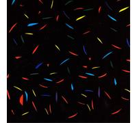 Trash Kit Horizon (Vinyl LP) 12" Album