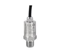 Trasmettitore di pressione compatto sensore 485 ad alta precisione PT129(0-100KPa 0-10V G1/2 2m)