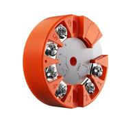 Trasmettitore di temperatura RTD Modulo temperatura PT100 4-20mA 0-10V Tipo K Trasmettitore temperatura 100C 200C 1000C 0-5V Modulo temperatura RS485 DC 24V(PT100 0-200C 4-20mA)