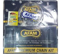Trasmissione Catena Corona Pignone Moto KIT Afam Honda Cbr 600 08 2008 XSRG ORO