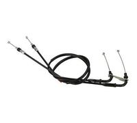 TRASMISSIONE COMANDO GAS DESMO XM2 UNIVERSALE DOMINO