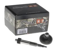 Trasmissione Stage6 primaria 15/38 (1:2.53) per Piaggio dal di 08/1998