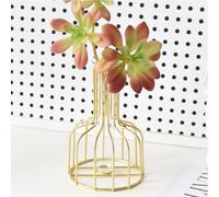 Trasparente Moderno Fiore Pianta Contenitore Creativo Terrario Forma Ceometrica