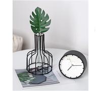 Trasparente Moderno Fiore Pianta Contenitore Creativo Terrario Forma Ceometrica