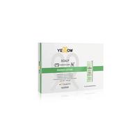 Trattamento anti-caduta per capelli ALFAPARF Yellow Scalp Energy Lotion 6x13ml