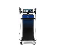 Trattamento dell'acne di Reju-Venation della pelle di rimozione della grinza della macchina dell'ago di Fra-ctional di R.f