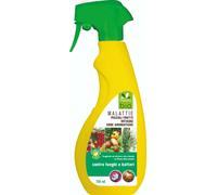 Trattamento fungicida per piccoli frutti, ortaggi ed erbe aromatiche