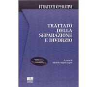 Trattato della separazione e divorzio. Con CD-ROM